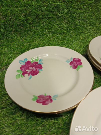 Тарелки дулево