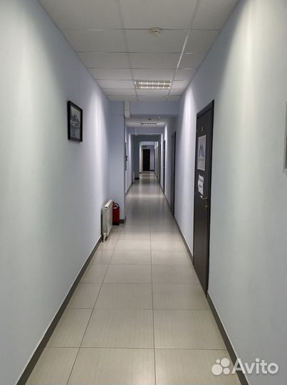 Оценка и экспертиза