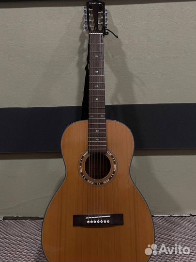 7-струнная акустическая гитара martinez