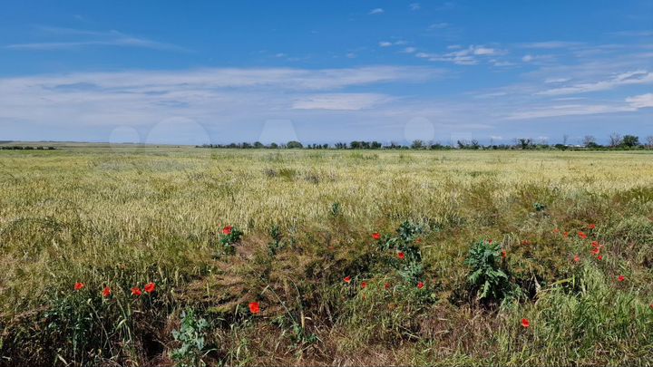 Участок 1,87 га (СНТ, ДНП)