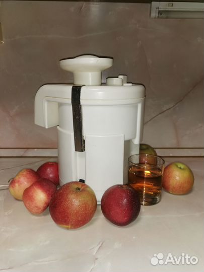 Соковыжималка журавинка-2
