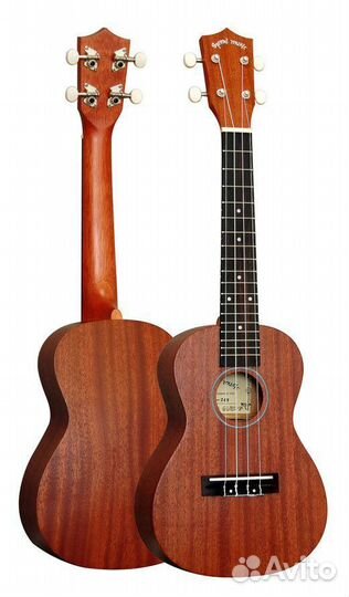 Укулеле Концерт 24