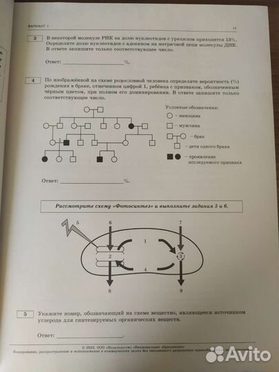 Сборник вариантов егэ по биологии 2023