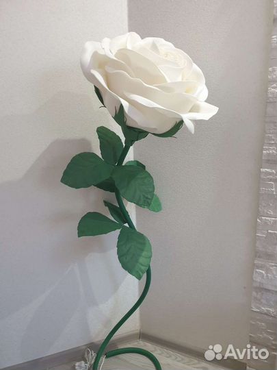 Ростовые цветы и светильники