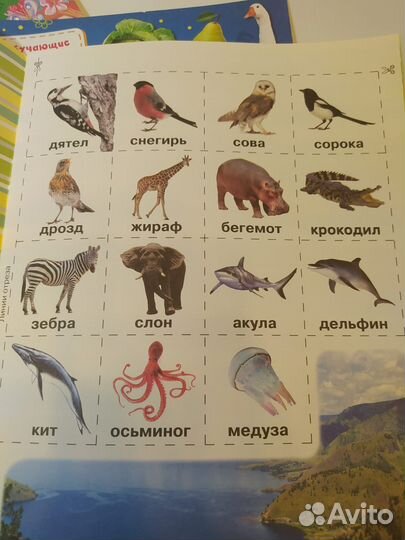 Книги развивающие для детей (пакетом или по отдель