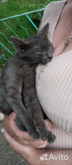 Малышка хочет к маме