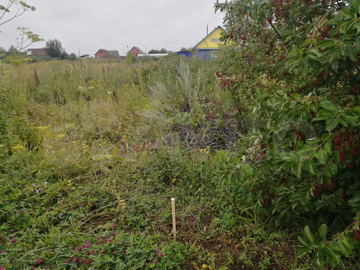 Участок 10 сот. (СНТ, ДНП)