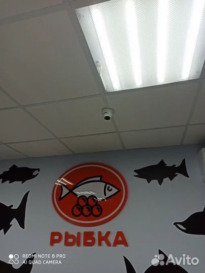 Оборудование для интернета в офис / цех / дом