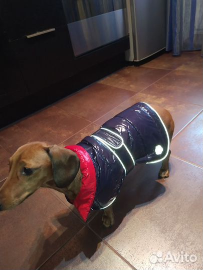 Пуховик для собаки
