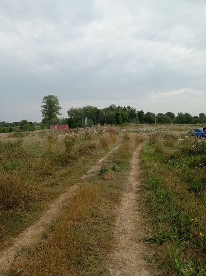 Участок 11,6 сот. (ИЖС)