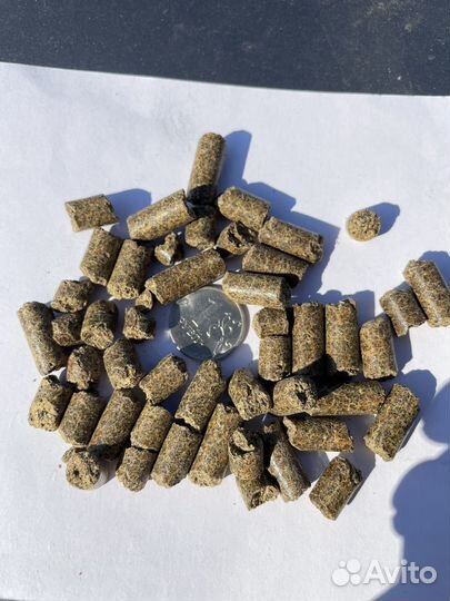Шрот рапсовый 42 процента