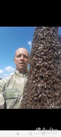 Натуральный Мёд