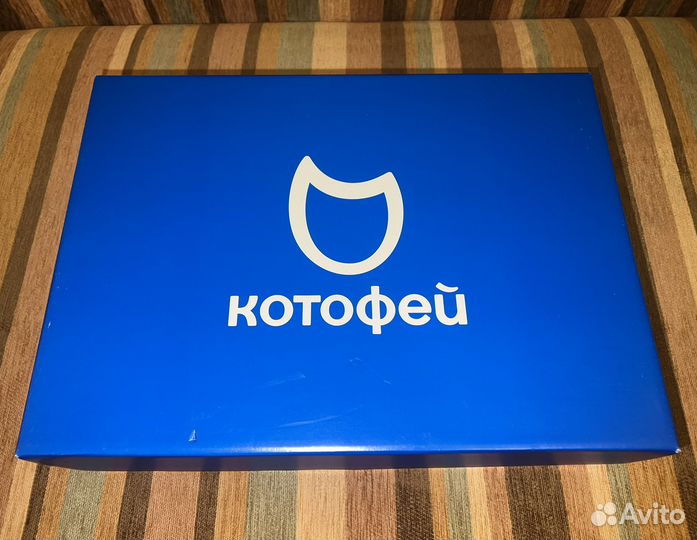 Зимние сапоги