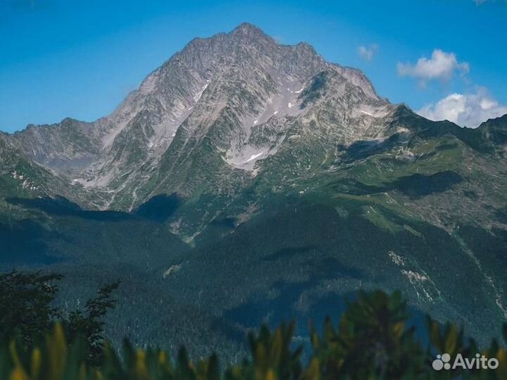 Экскурсия — Адлер — Курорты Сочи: большое путешест