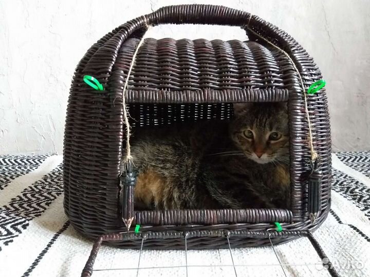 Корзина домик для котят