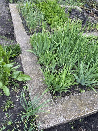 Дача 10 м² на участке 6 сот.