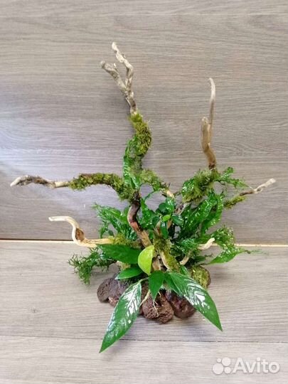 Декор для аквариума