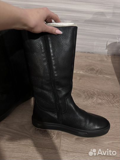 Сапоги женские зимние натуральная кожа