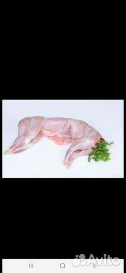 Домашние куриные яйца