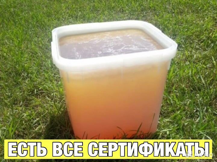 Мёд Алтайский опт