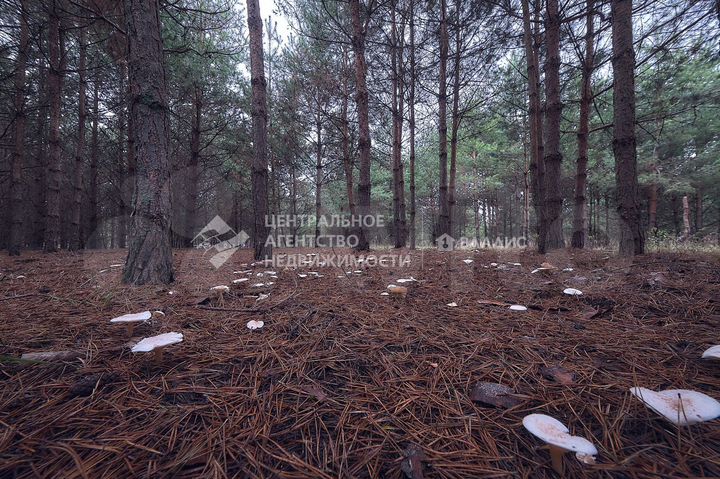 Участок 14 сот. (ИЖС)