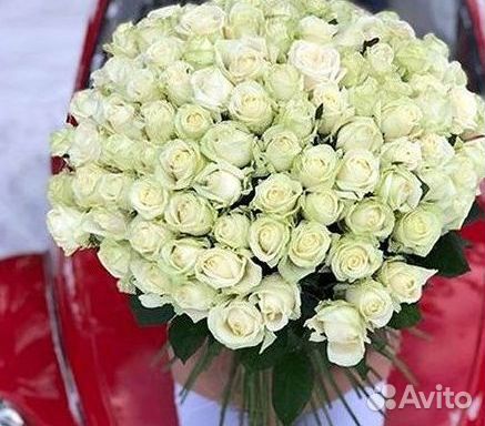 Высокие розы Гигантские Розы 150 160 170 180 190см