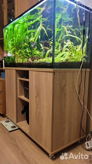 Аквариум с тумбой 220 литров