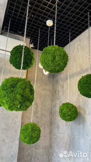 Шары из мха