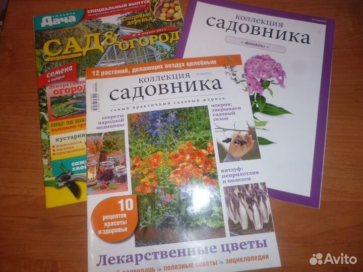 Цветники Мой прекрасный сад Школа садовника