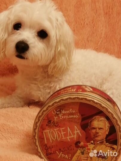 Вязка в Сочи