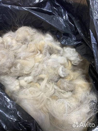 Продам собачью шерсть