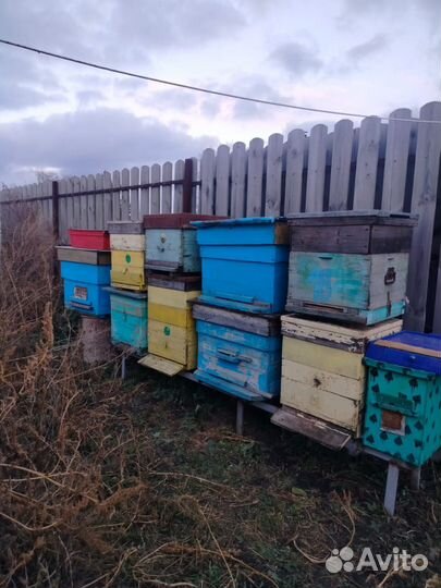 Улья с рамками