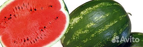Семена Арбуза 