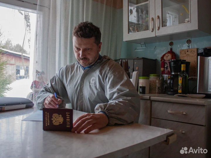 Уничтожение тараканов дезинфекция клопов