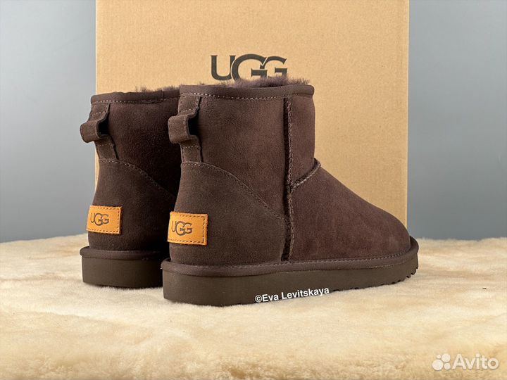 Угги женские Ugg Classic Mini II Chocolate