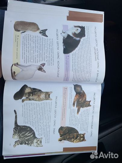 Книга альбом энциклопедия