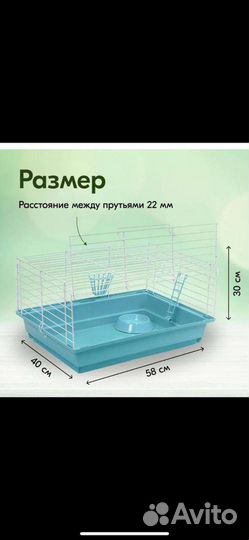 Кролики с клеткой