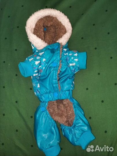 Одежда для маленьких собак