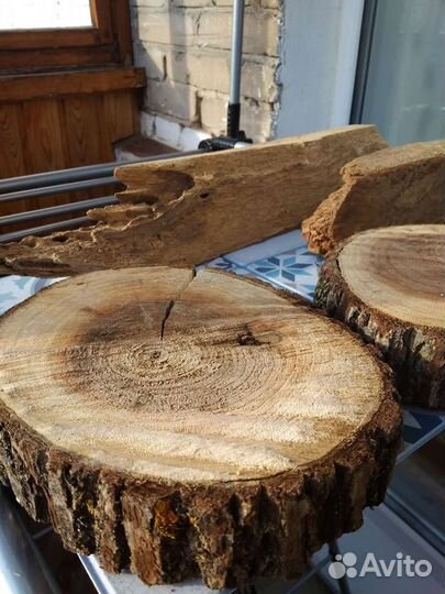 Спилы. Дерево. Для декора и поделок