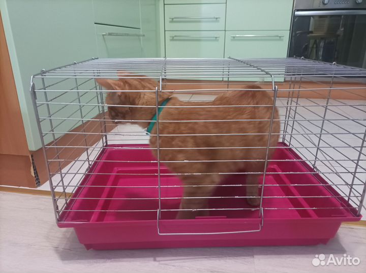 Клетка для кролика или других грызунов