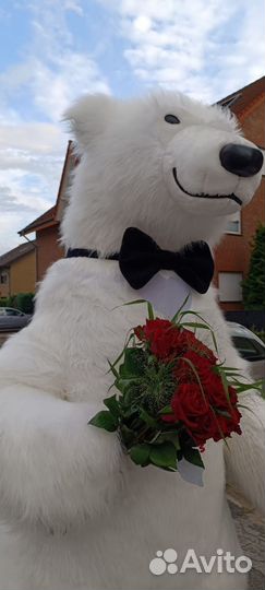 Белый мишка на праздник