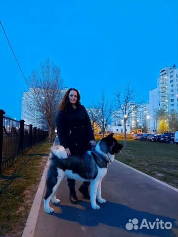 Передержка собак,кошек и мелких животных