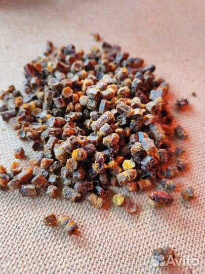 Перга пчелиная