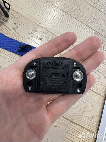 Пульсометр polar h7