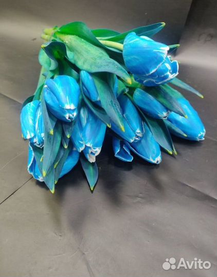 Луковица тюльпанов оптом 12;14+для выгонки