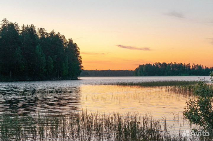 Узаконим пирс, причал Аренда акватории