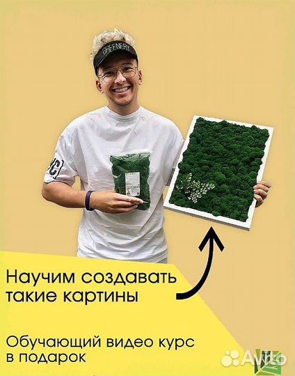 Мох ягель стабилизированный