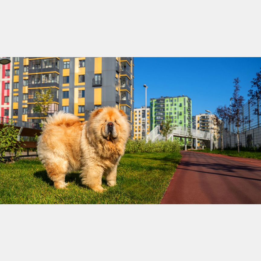 2-к. квартира, 56,2 м², 6/10 эт.
