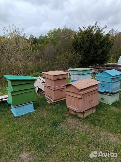 Ульи для пчел бу