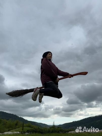 Метла Нимбус 2000, Гарри Поттер